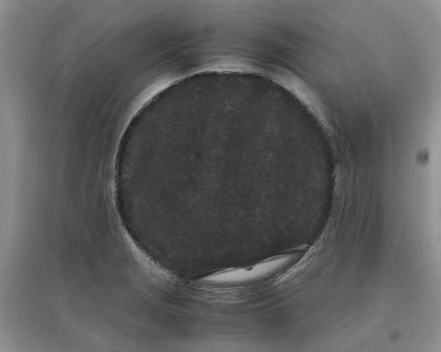 X0000097641229200803142039