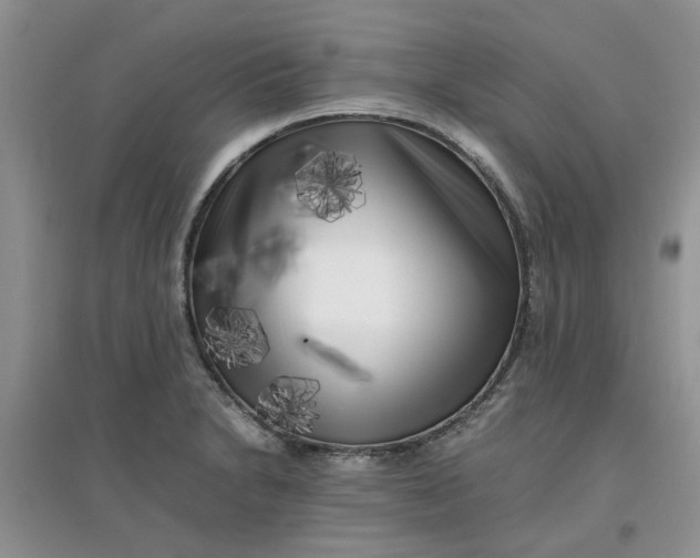 X0000097641230200803142039