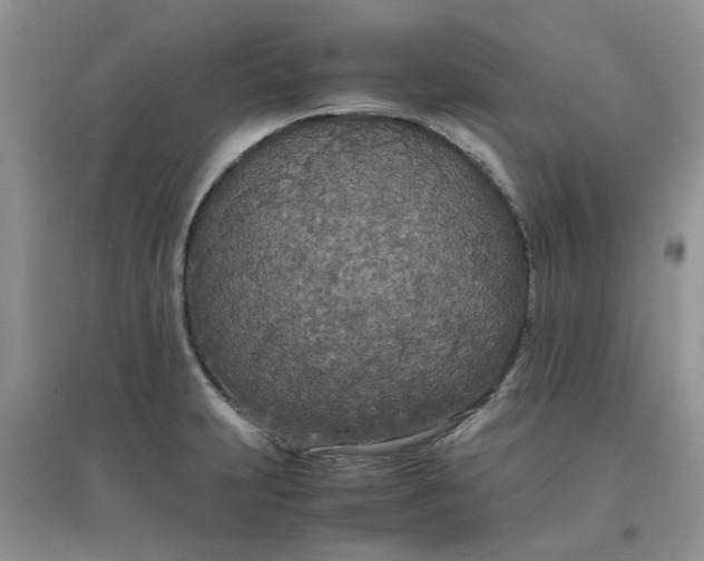 X0000097641231200803142039