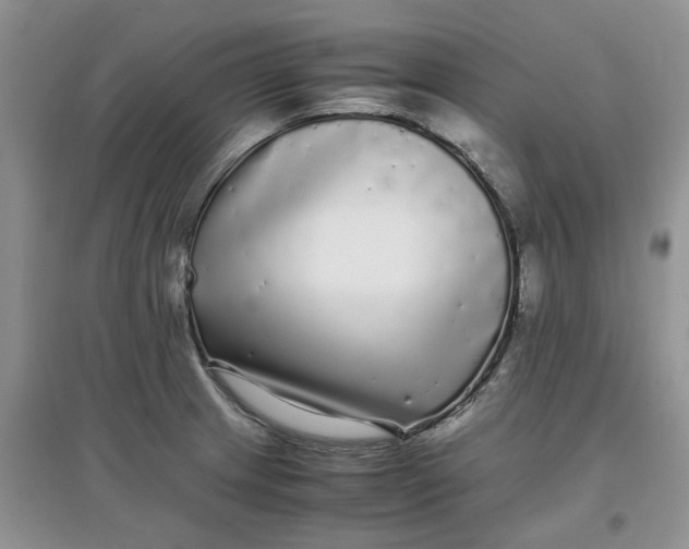 X0000097641233200803142039