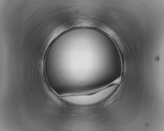 X0000097641234200803142039