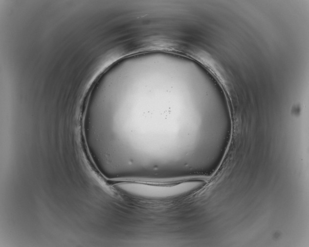 X0000097641235200803142039