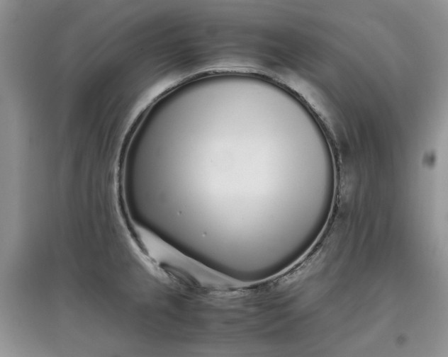 X0000097641237200803142039