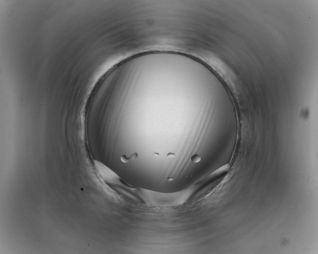 X0000097641238200803142039