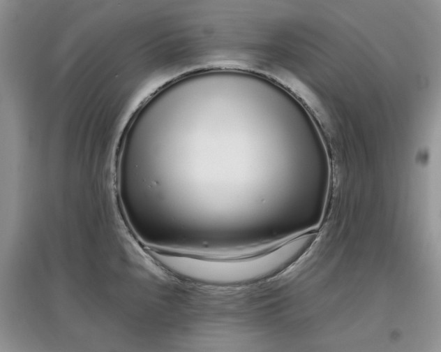 X0000097641240200803142039