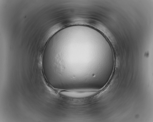 X0000097641241200803142039