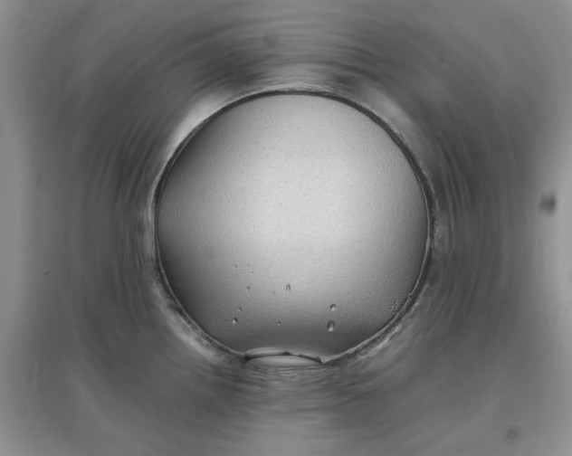 X0000097641242200803142039