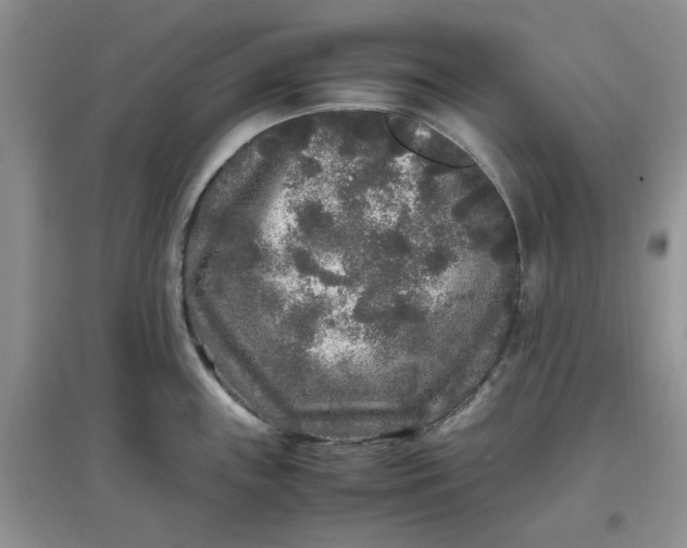 X0000097641243200803142039