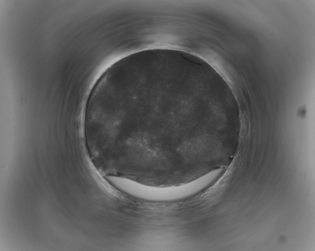 X0000097641246200803142040