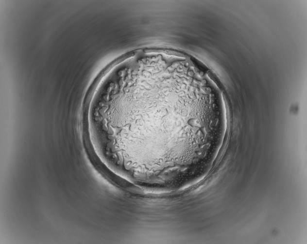 X0000097641247200803142040