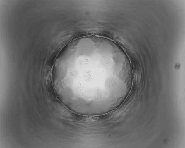 X0000097641251200803142039