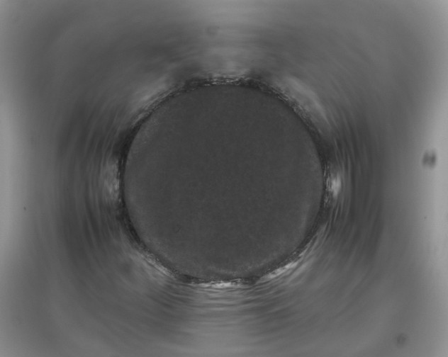 X0000097641252200803142039