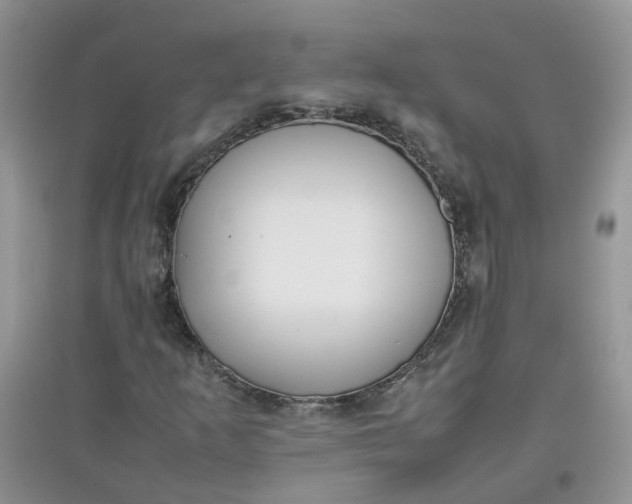 X0000097641253200803142039