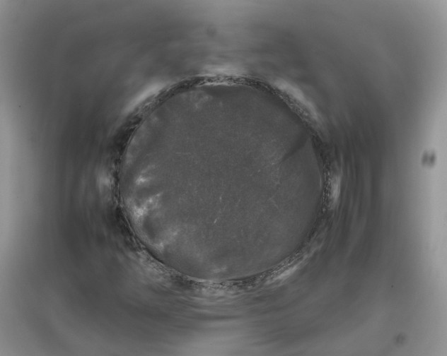 X0000097641254200803142038