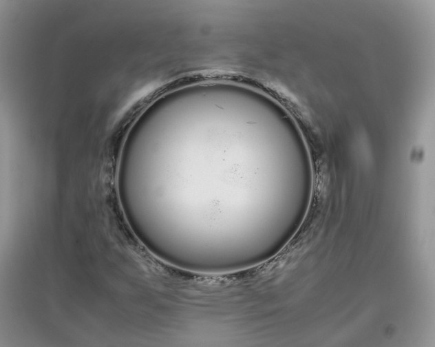 X0000097641255200803142038