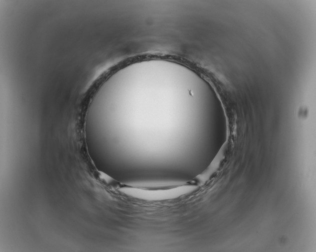 X0000097641256200803142038