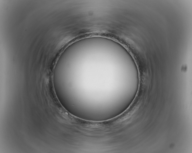 X0000097641257200803142038