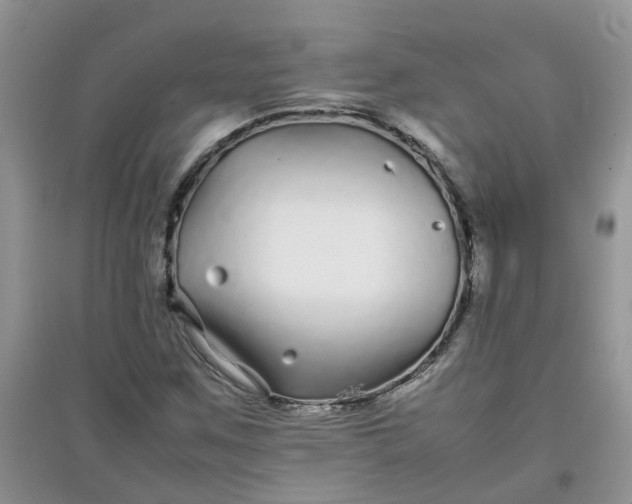 X0000097641259200803142038