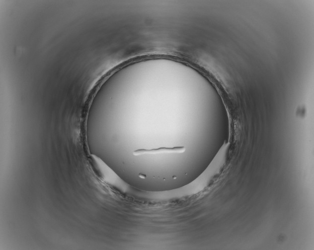 X0000097641260200803142038