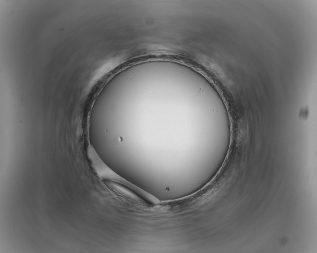 X0000097641261200803142038