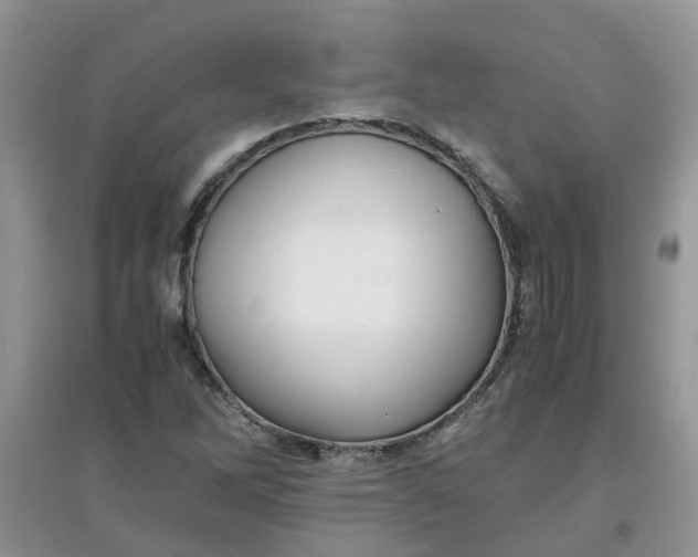 X0000097641262200803142038