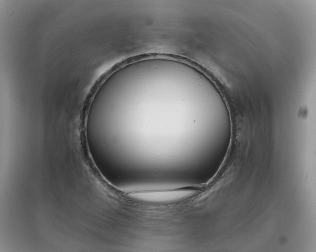 X0000097641264200803142038