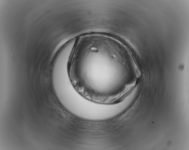 X0000097641266200803142038