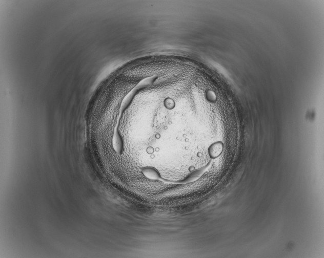 X0000097641267200803142038