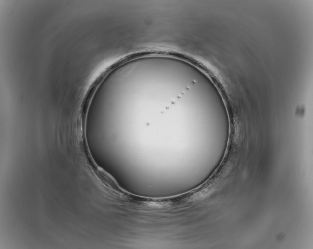 X0000097641271200803142038