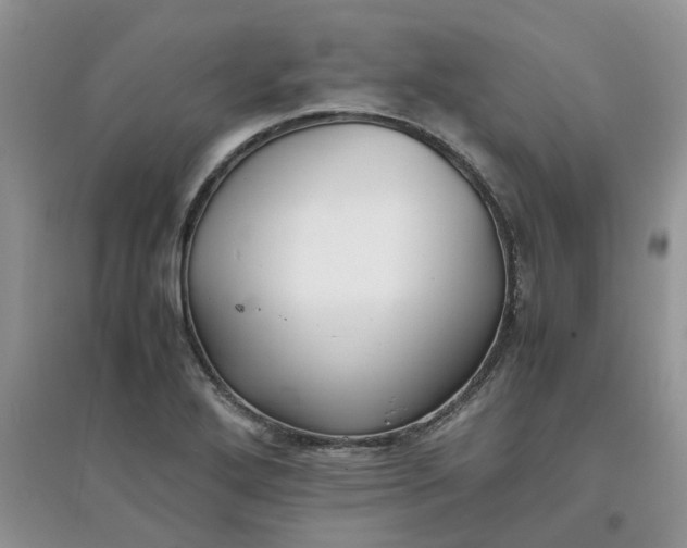 X0000097641272200803142038