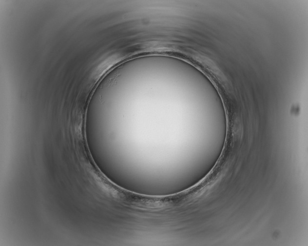 X0000097641273200803142038