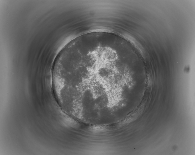 X0000097641274200803142038