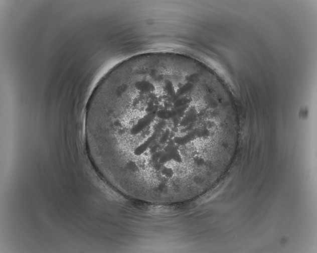 X0000097641275200803142038