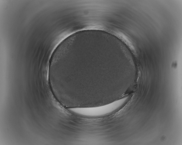 X0000097641276200803142038