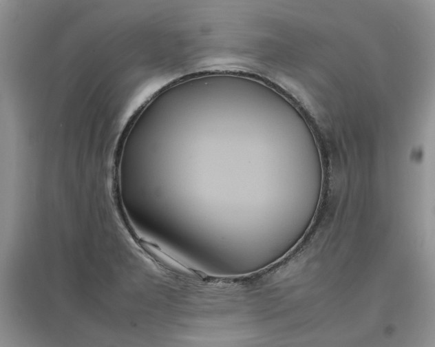 X0000097641277200803142038