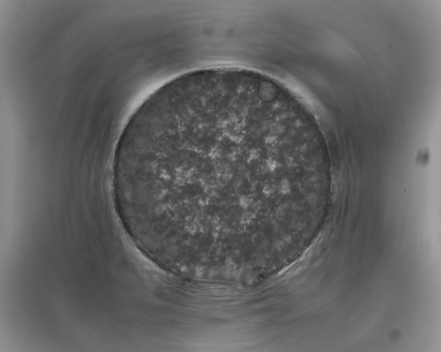 X0000097641279200803142038