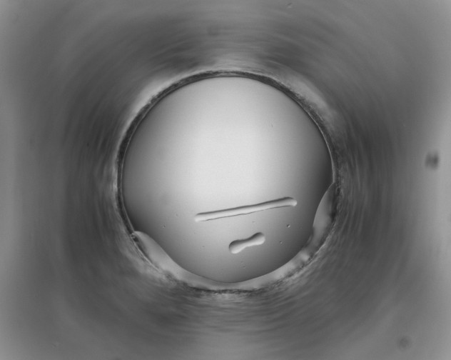 X0000097641280200803142038