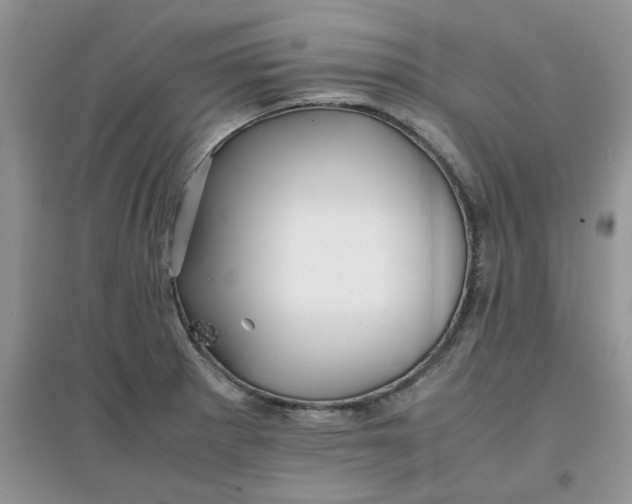 X0000097641281200803142038