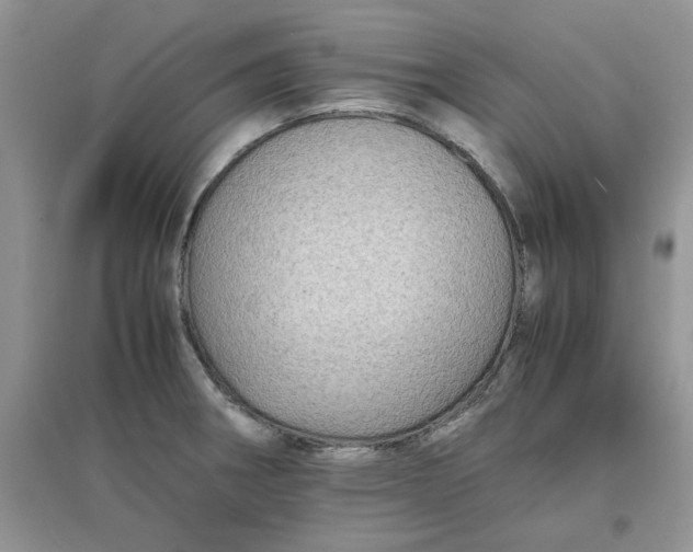 X0000097641282200803142038