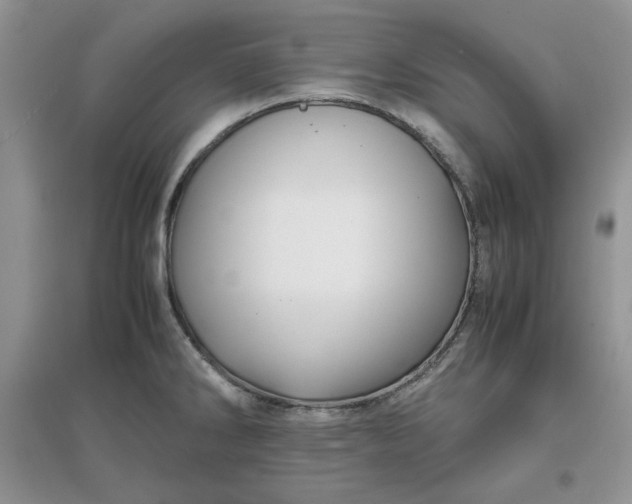 X0000097641286200803142038