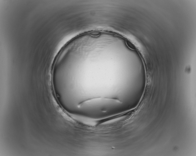 X0000097641287200803142038