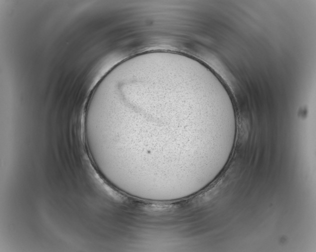 X0000097641290200803142038