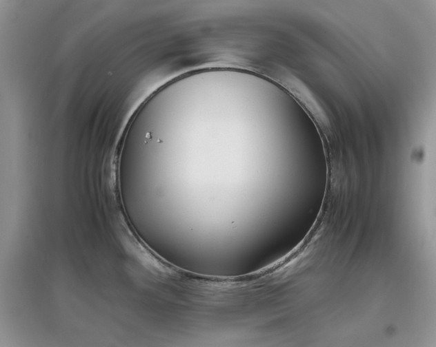 X0000097641292200803142038