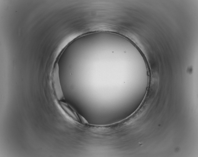 X0000097641293200803142038