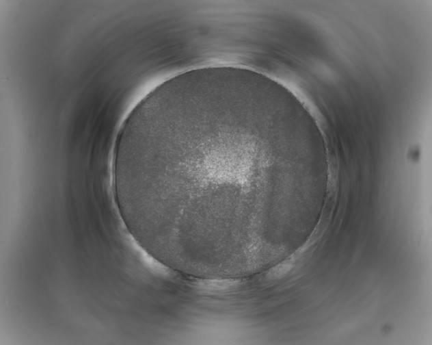 X0000097641294200803142038