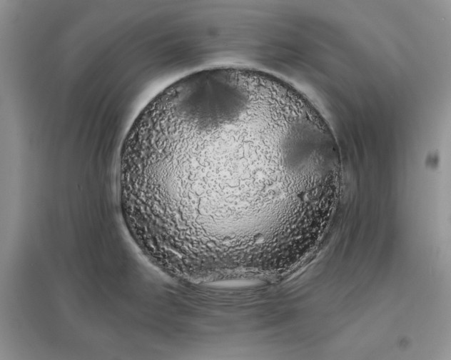 X0000097641295200803142038