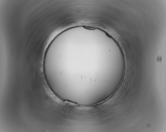 X0000097641296200803142038