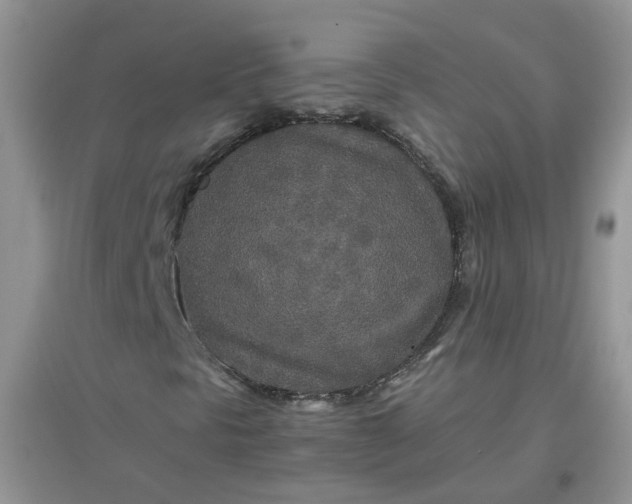 X0000097641297200803142037