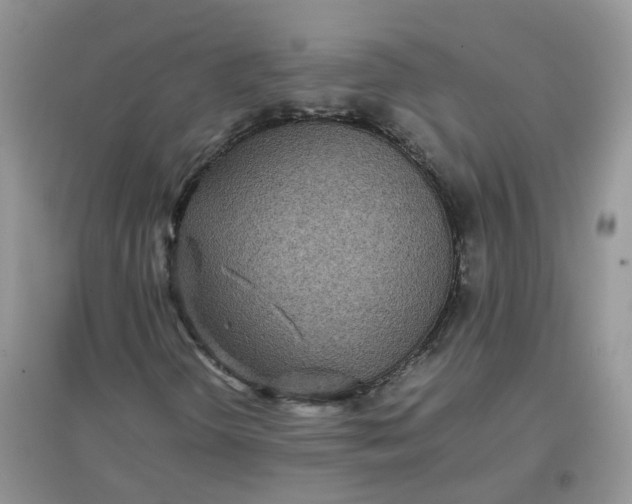 X0000097641298200803142037