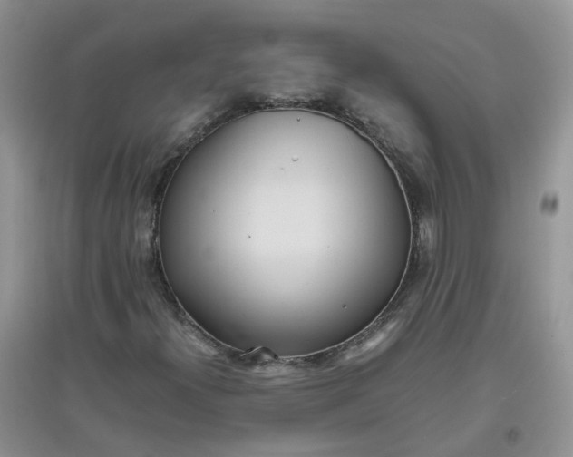 X0000097641300200803142037